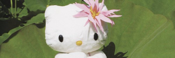 rottngflsh Profile Banner