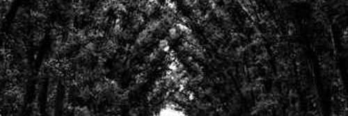 nmqw194337's profile banner image