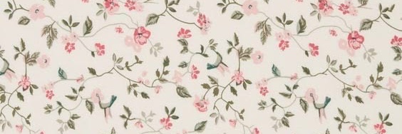 Cowboy Quigley banner