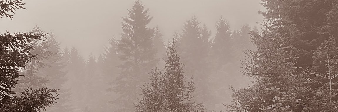 7vrze's profile banner image