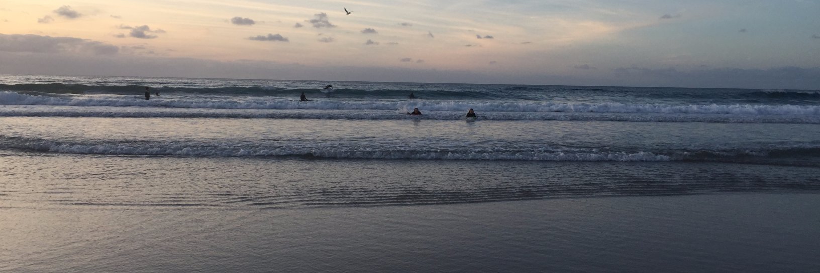 Robin O'Connell banner