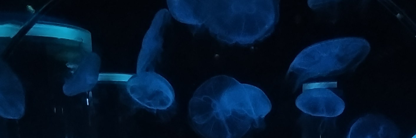 湯船 banner