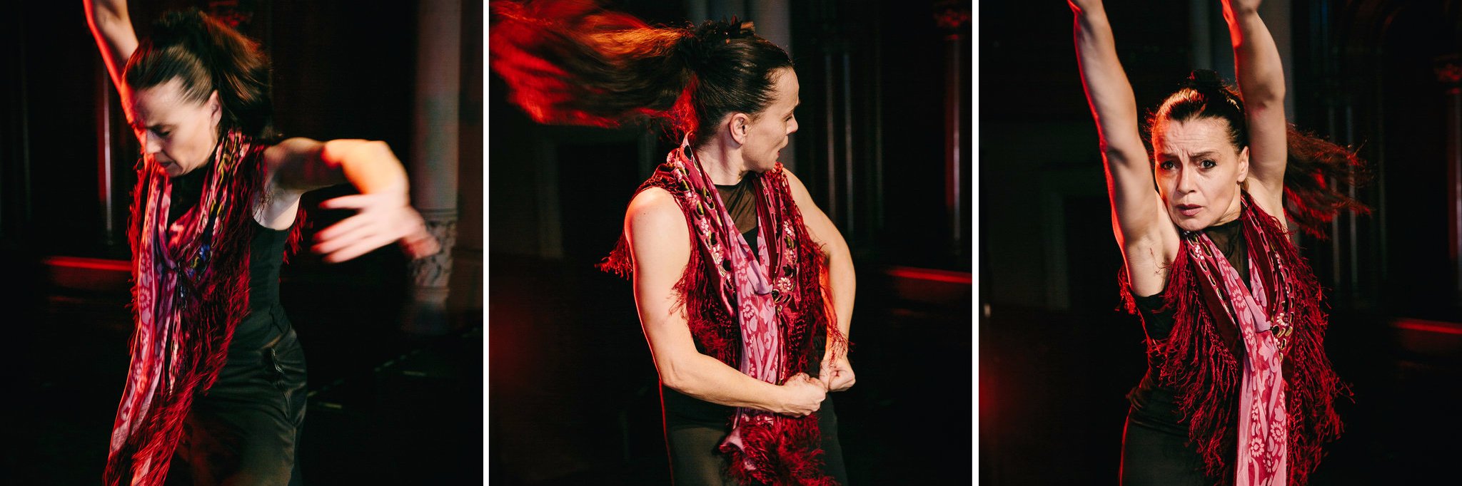 NocheFlamenca's profile banner image