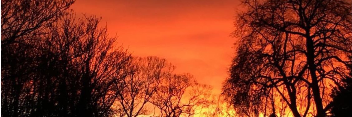 stuffnonsense2's profile banner image
