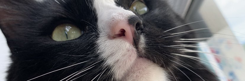 dohertylucy's profile banner image