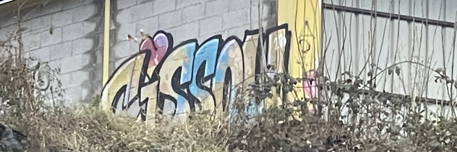 cissoug's profile banner image