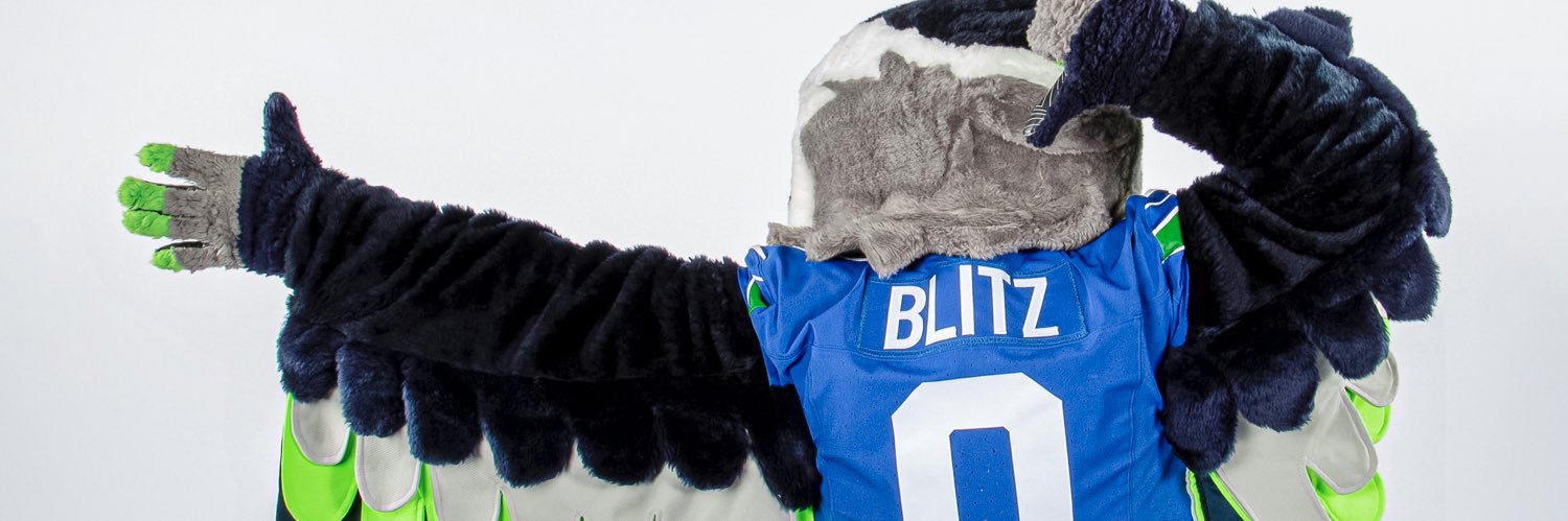 Blitz the Seahawk's banner