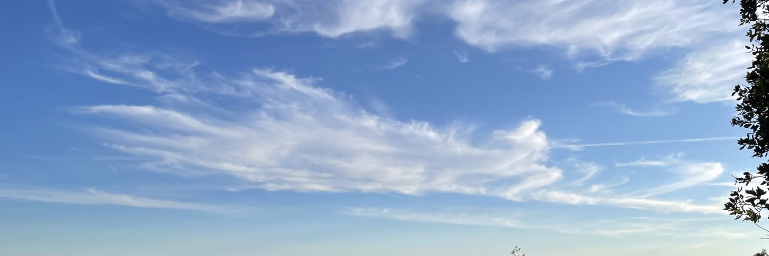 Carlospmm's profile banner image