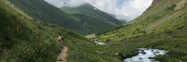 MichaelDaventry Profile Banner