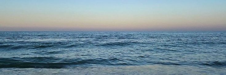 كامِيليا🐚 banner