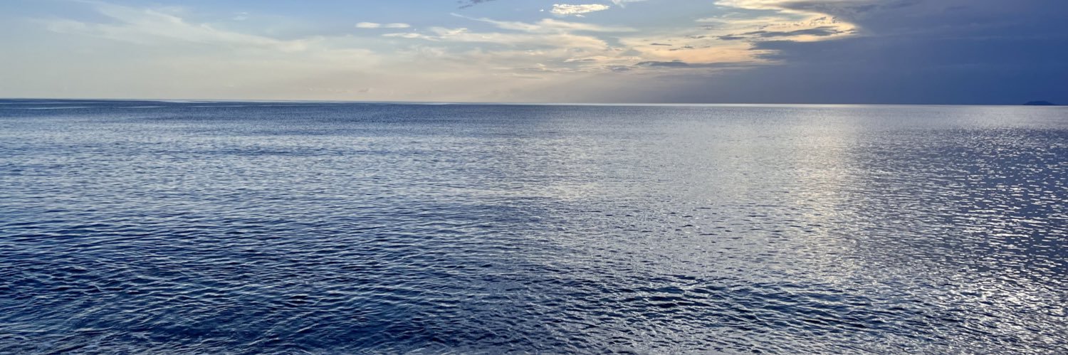 Edgar José Palacios banner