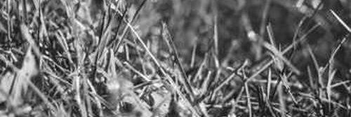udot362728's profile banner image