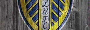 tinahardy 💙💛 banner