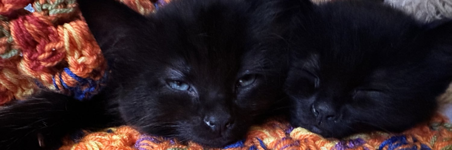 Butch And Sundance banner