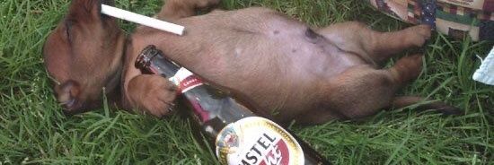IrishT73475's profile banner image