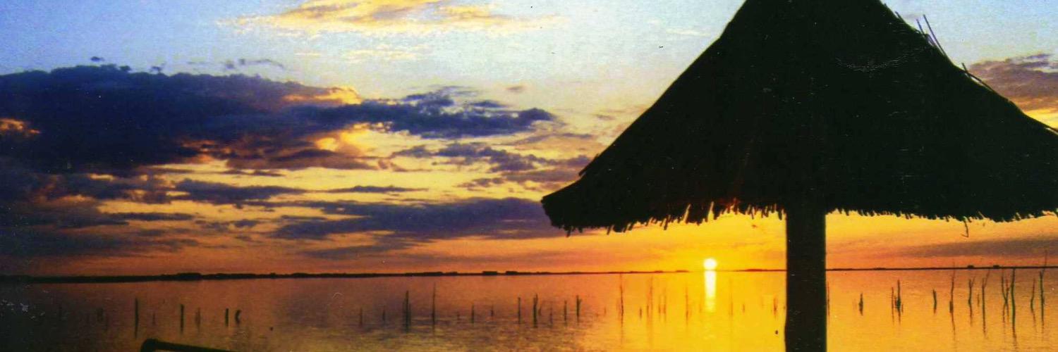 Micacazzulo's profile banner image
