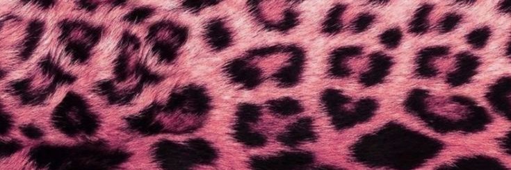 eve banner