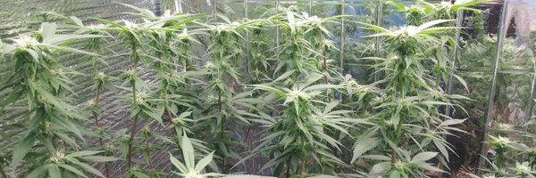 JeffTheOmega1 Profile Banner