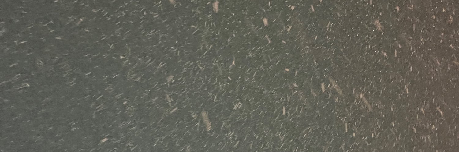 young__pe's profile banner image