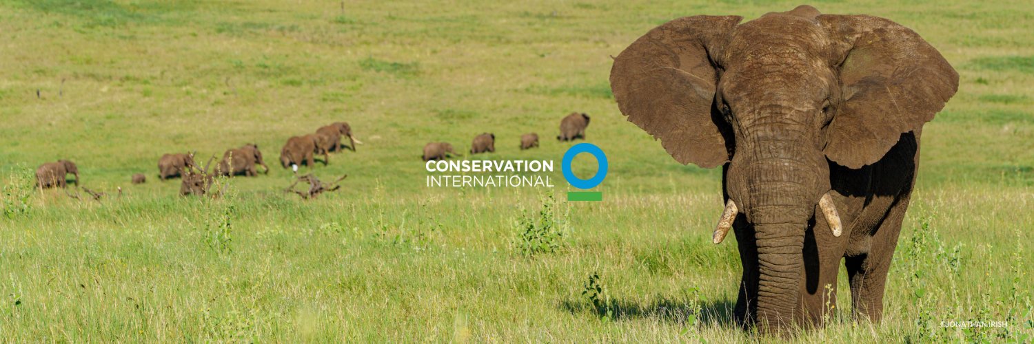 Conservation Intl's banner