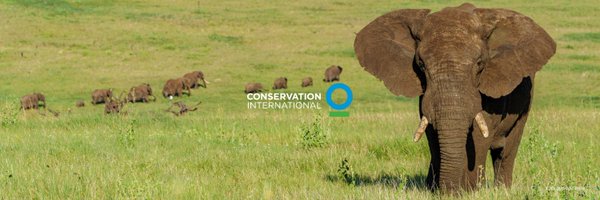 ConservationOrg Profile Banner