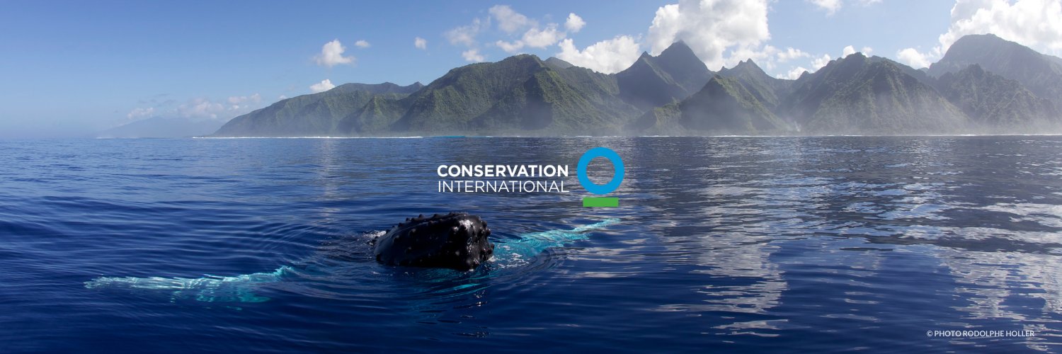 Conservation Intl banner