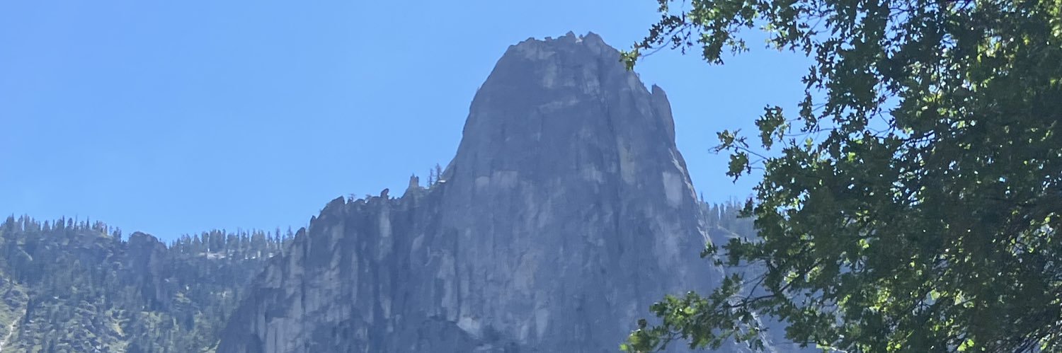 MayflowrBastard's profile banner image