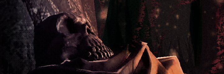 wavy banner