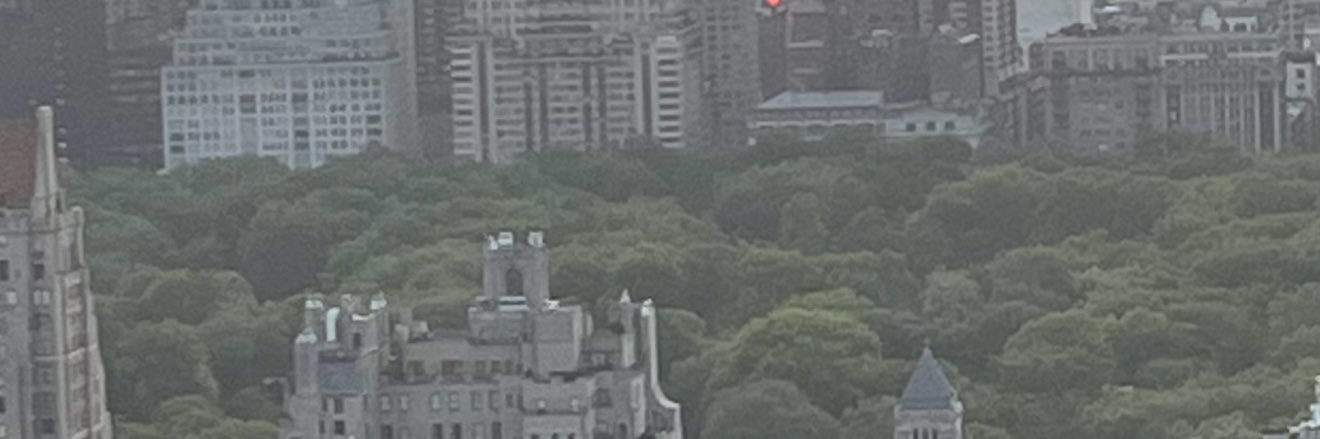 Vildãné banner