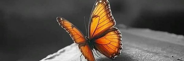 BobbyCh21718 Profile Banner