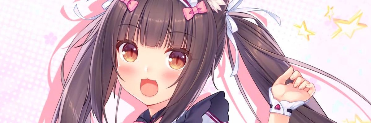 ⌗ !! ꒰ 小猫 ꒱ 🍮 banner