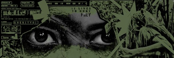 huntsprey Profile Banner