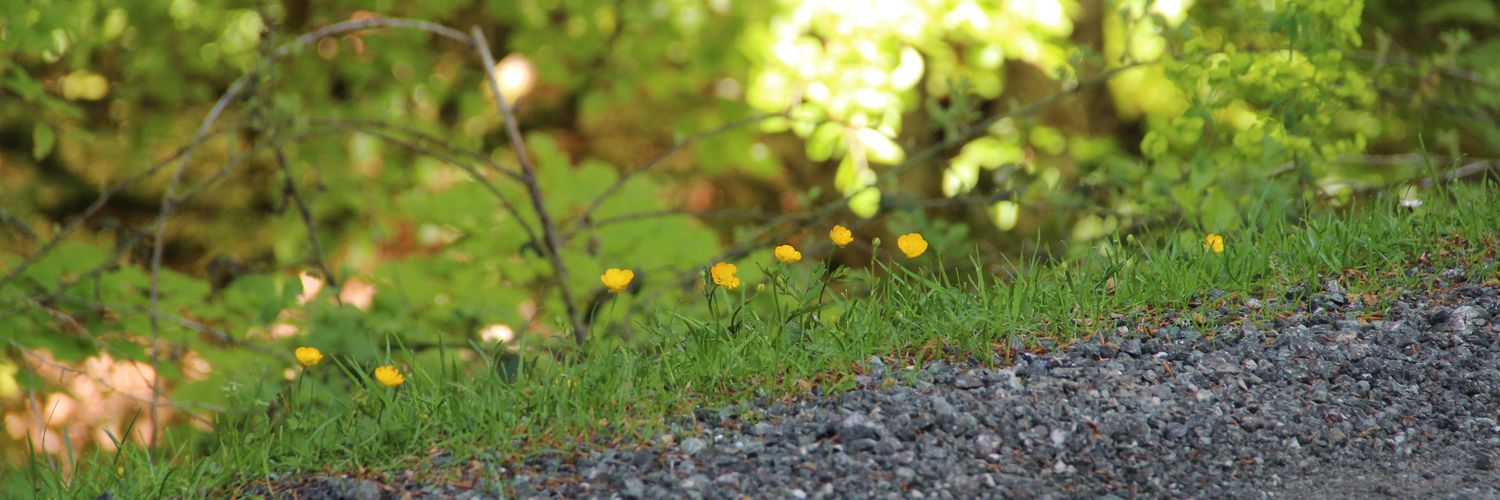 Andoni Mateos Cabero banner