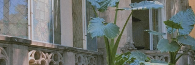 gabbsland's profile banner image