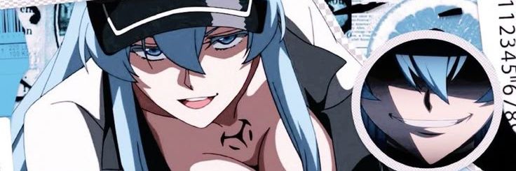 Esdeath banner