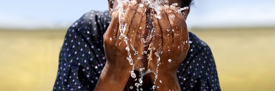 viktoria harrison banner