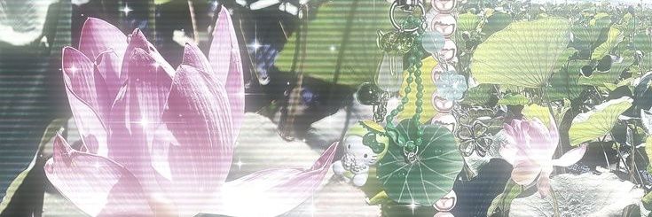 navy ★ banner