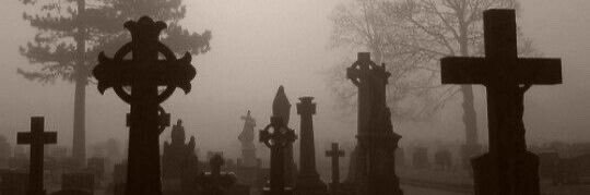 michael / merle ⋆𖦹⋆ˎˊ˗ banner