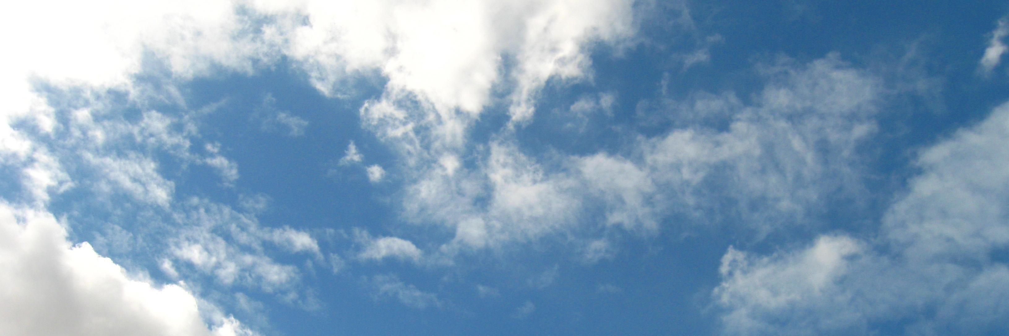 Thomas Malloc banner