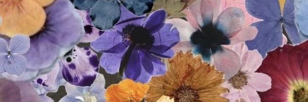 andreacardz's profile banner image