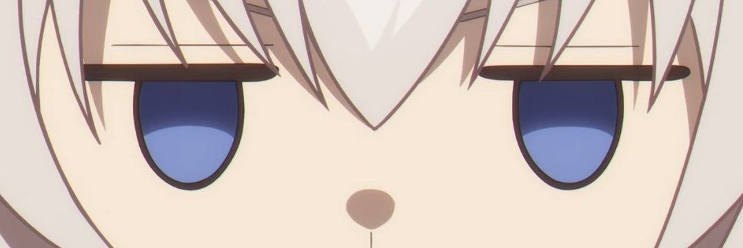 NotMacarthyAlt's profile banner image