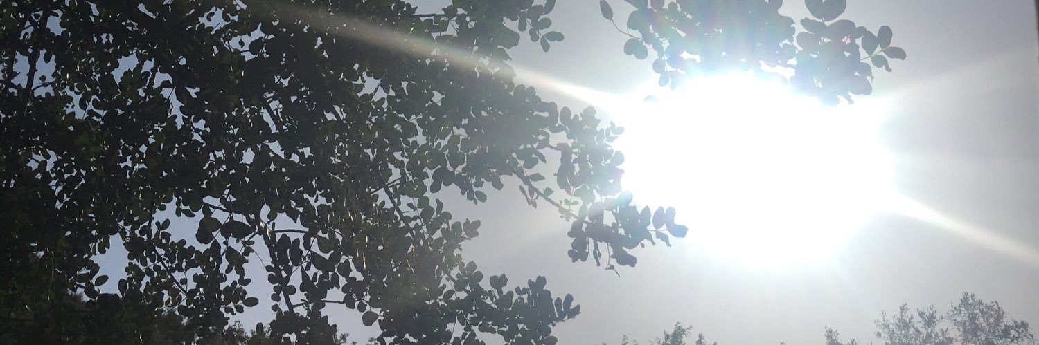 anabeeeel's profile banner image