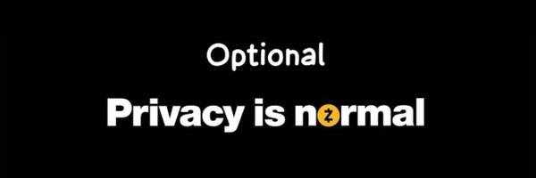 ShieldedFlow Profile Banner