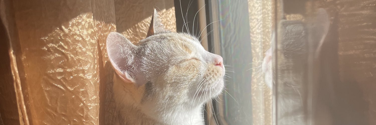 Zheref90's profile banner image