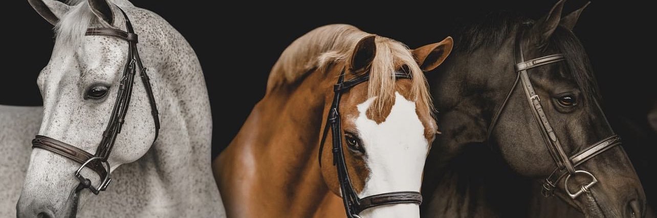 maroktb's profile banner image