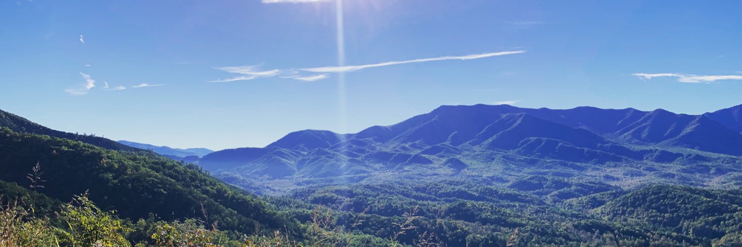 jennMFphelps's profile banner image