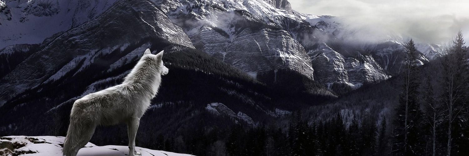 JamesSkillcorn's profile banner image