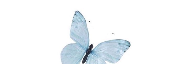 vi ! ! banner