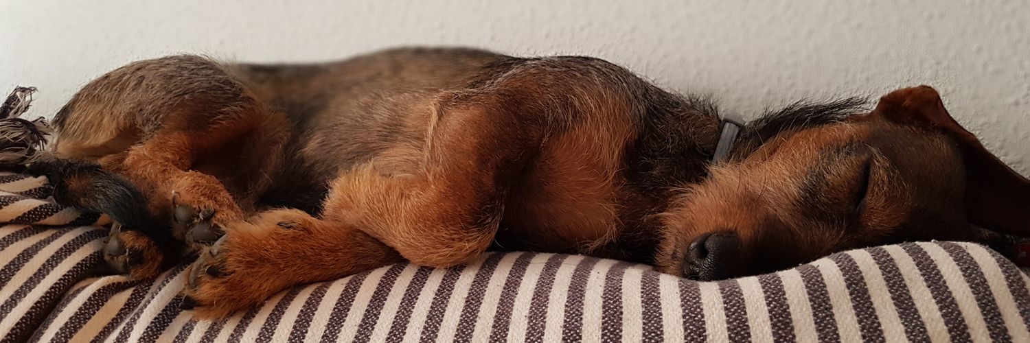 Venterito's profile banner image