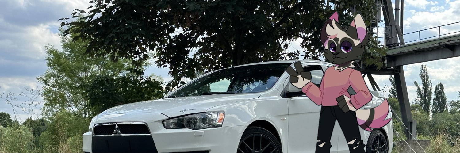 Lance banner